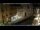 Webcam in Venise, 0.1 km