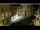 Webcam in Venice, 0.4 mi away