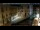 Webcam in Venice, 9.3 mi away