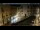 Webcam in Venice, 9.8 mi away
