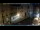 Webcam in Venice, 11.6 mi away