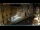 Webcam in Venedig, 1 km entfernt