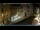 Webcam in Venedig, 23.7 km