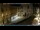 Webcam in Venise, 24.5 km