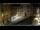 Webcam in Venezia, 24.4 km