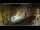 Webcam in Venezia, 1 km