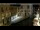 Webcam in Venice, 0.5 mi away