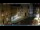 Webcam in Venedig, 0.9 km