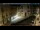 Webcam in Venice, 0.5 mi away