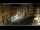 Webcam in Venice, 11.6 mi away