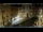 Webcam in Venice, 9.3 mi away