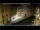 Webcam in Venice, 9.3 mi away