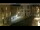Webcam in Venice, 13.7 mi away