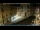 Webcam in Venice, 9.3 mi away