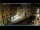 Webcam in Venice, 0.3 mi away