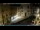 Webcam in Venice, 9.3 mi away