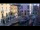 Webcam in Venice, 0.3 mi away