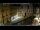 Webcam in Venice, 9.3 mi away