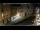 Webcam in Venice, 9.3 mi away