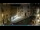 Webcam in Venice, 11.6 mi away