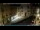 Webcam in Venedig, 1 km entfernt