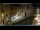 Webcam in Venice, 0.4 mi away