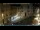 Webcam in Venice, 9.3 mi away