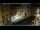 Webcam in Venedig, 0.1 km