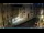 Webcam in Venedig, 1 km entfernt