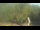 Webcam in Fairview, Tennessee, 253.4 km entfernt