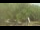 Webcam in Fairview, Tennessee, 46.9 mi away