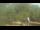 Webcam in Fairview, Tennessee, 154.8 km
