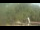 Webcam in Fairview, Tennessee, 226.8 km entfernt