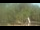 Webcam in Fairview, Tennessee, 104.4 km