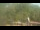 Webcam in Fairview, Tennessee, 257.1 km