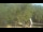 Webcam in Fairview, Tennessee, 107.6 mi away