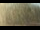 Webcam in Fairview, Tennessee, 32.9 mi away