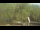 Webcam in Fairview, Tennessee, 257.1 km