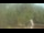 Webcam in Fairview, Tennessee, 311.7 km entfernt