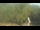 Webcam in Fairview, Tennessee, 240.6 km
