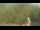 Webcam in Fairview, Tennessee, 99.2 mi away