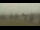 Webcam in Toledo, Ohio, 75.4 km entfernt