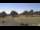 Webcam in Memphis, Tennessee, 192.4 km entfernt