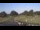 Webcam in Memphis, Tennessee, 329.8 km entfernt