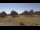 Webcam in Memphis, Tennessee, 92.3 mi away