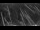 Webcam in Sunizona, Arizona, 128.2 mi away