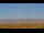 Webcam in Sunizona, Arizona, 335.7 km