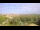 Webcam on Juist, 8.1 mi away