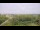 Webcam on Juist, 8.7 mi away