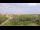 Webcam on Juist, 8.1 mi away